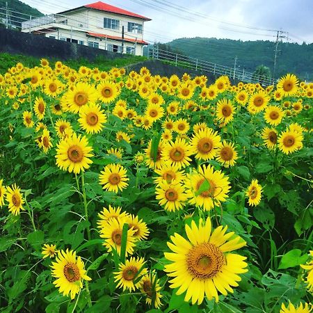 Guesthouse ＆ Beach Cafe Fuego Hyuga Екстер'єр фото
